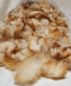 Bag of Wool Stuffing for Pillows, Dolls & Crafts (8oz)