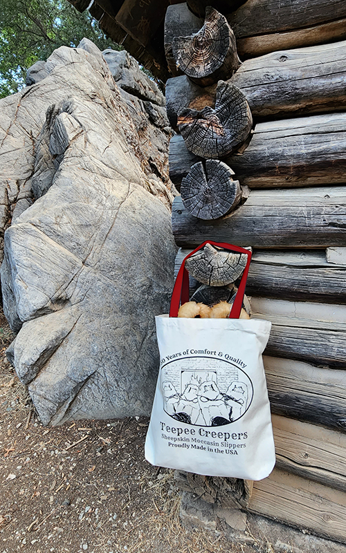 Teepee Creepers Canvas Tote Bag Slipper tote bag